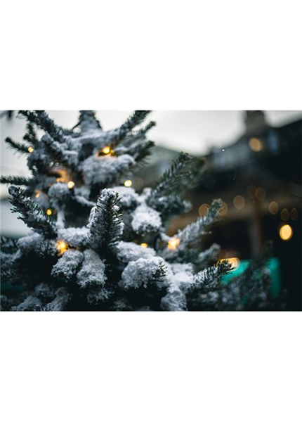 DELTACO SMART Vianočné osvetlenie na stromček DELTACO SMART Vianočné osvetlenie na stromček