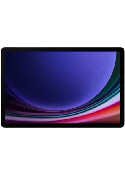 SAMSUNG Galaxy Tab S9 8/128GB 11" Wi-Fi, Gray SAMSUNG Galaxy Tab S9 8/128GB 11" Wi-Fi, Gray