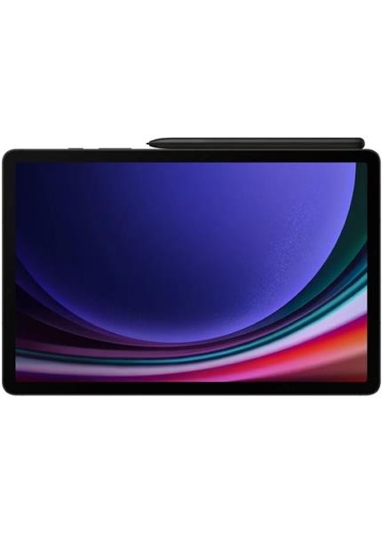 SAMSUNG Galaxy Tab S9 8/128GB 11" Wi-Fi, Gray SAMSUNG Galaxy Tab S9 8/128GB 11" Wi-Fi, Gray