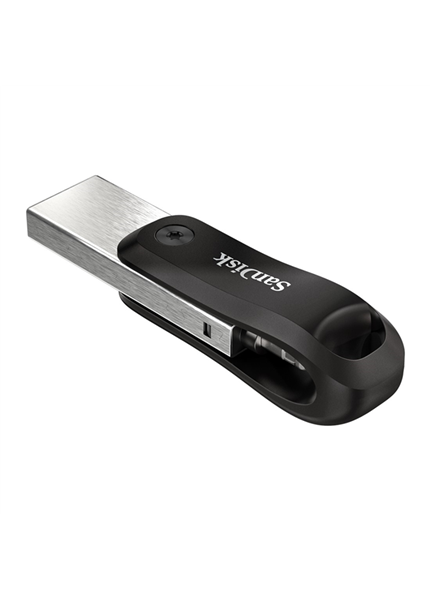 SanDisk iXpand Flash Drive Go 256 GB SanDisk iXpand Flash Drive Go 256 GB